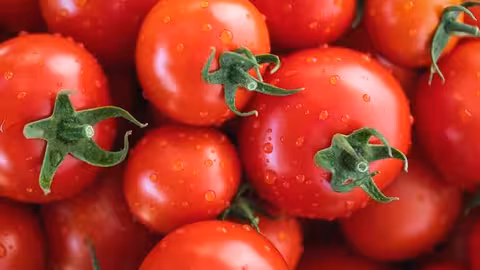 Tomate (Foto Uni&oacute;n de Uniones)