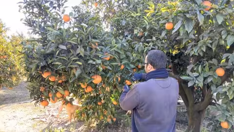 Joven agricultor (Foto La Uni&oacute; Llauradora)