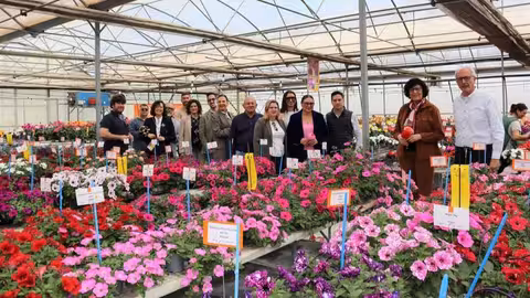 Vivero de flores (Foto Ayuntamiento de Puerto Lumbreras)