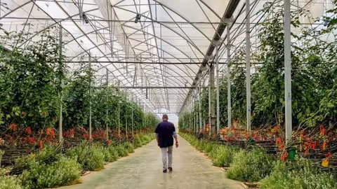 Joven agricultor en un invernadero (Foto MAPA)