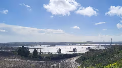 Inundaciones en La Cartuja-Guadalete por el tren de borrascas (Foto COAG Andaluc&iacute;a)