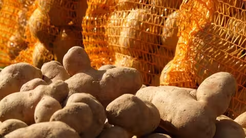 Patatas (Imagen de Hans en Pixabay)