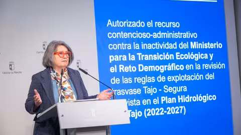 La consejera de Desarrollo Sostenible de Castilla-La Mancha, Mercedes G&oacute;mez, en su comparecencia tras el Consejo de Gobierno (Foto Gobierno de C-LM)