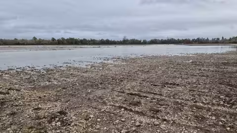 Da&ntilde;os por las borrascas (Foto MAPA)