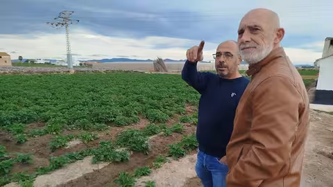El responsable de la sectorial de hortalizas de AVA-Asaja, Vicente Jos&eacute; Sebasti&agrave; (Foto AVA-Asaja)