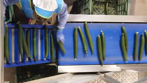 Trabajadora del manipulado en una industria alimentaria (Foto Coexphal)