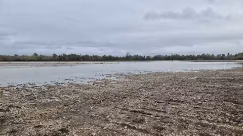 Da&ntilde;os en el campo por el tren de borrascas (Foto MAPA)
