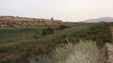 El Espacio Natural Protegido de los Saladares del Guadalent&iacute;n es declarado lugar ZEC (Foto CARM)