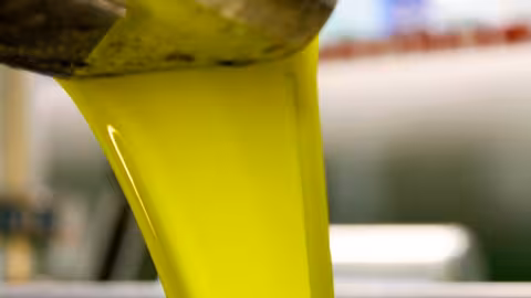 Aceite de oliva en una almazara (Foto Cooperativas AgroAlimentarias)
