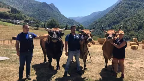 J&oacute;venes ganaderos (Foto IGP Ternera Asturiana)