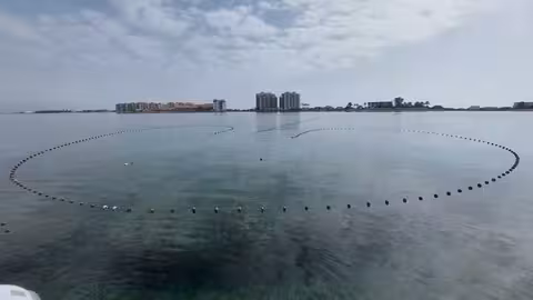 Pesca tradicional conocida como 'charamita' para la captura del langostino del Mar Menor (Foto CARM)