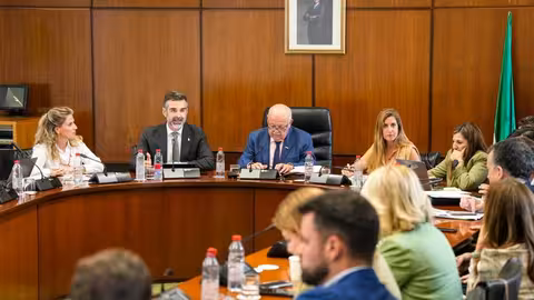 Diputaci&oacute;n permanente del Parlamento Andaluz (Foto Junta de Andaluc&iacute;a)