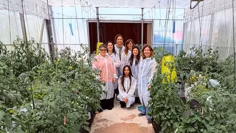 Investigadoras del proyecto para recuperar variedades tradicionales de tomate (Fuente Cebas-CSIC)