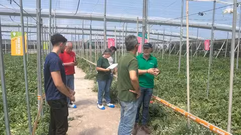Jornada BEFE El Ejido
