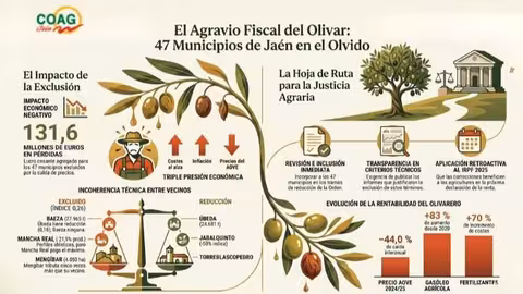 Agravio fiscal al olivar (Infograf&iacute;a COAG Ja&eacute;n)
