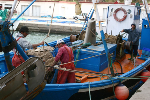 Pescadores faenando en el puertoFotoregmurciacom