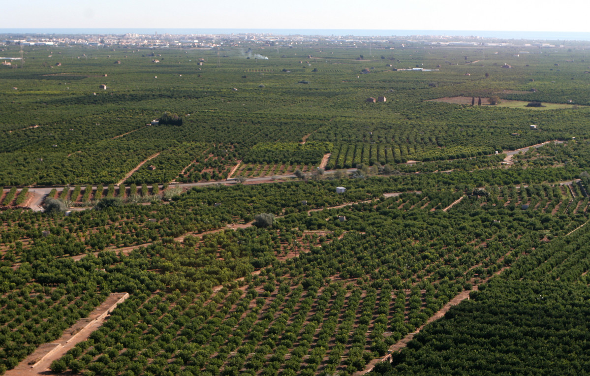 Parcelas cultivo vista aérea (Foto Generalitat valenciana)