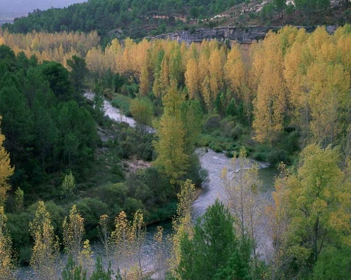 Río Tajo (Foto Mapama)