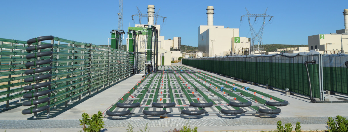 Foto 2. Vista general de la planta de AlgaEnergy en Arcos de la Frontera (Cádiz) LR