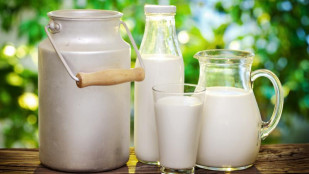 Leche sector lácteo (Foto fegaes web)