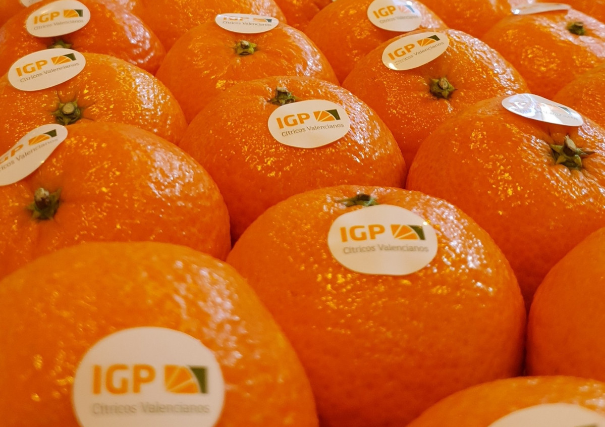 Encajado clementinas IGP en stand