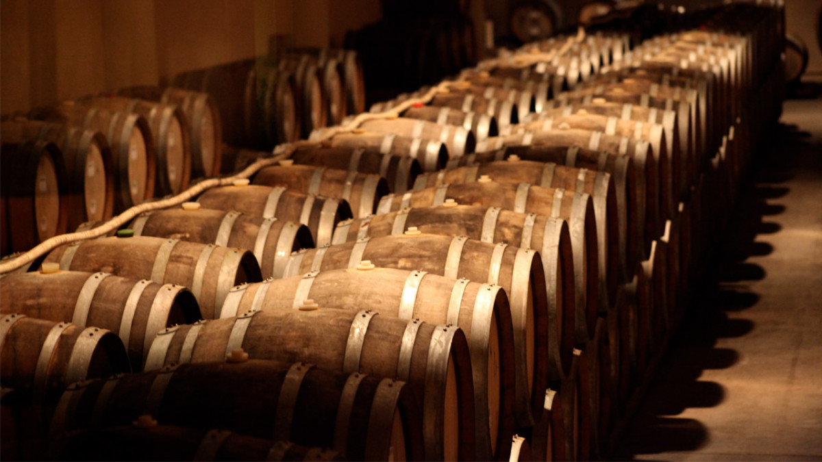 Bodega de vino con barricas de roble (Foto La Unió)