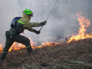 Brigadista apaga fuego Incendio (Foto MAPA)
