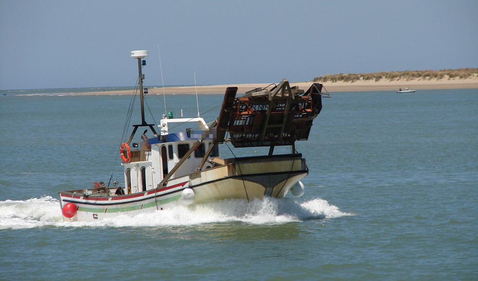 Barco Pesquero Bahía Cádiz Chirla (Foto Junta de Andalucía)