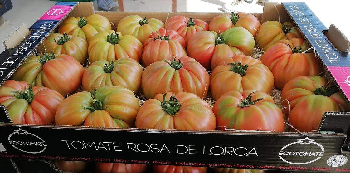 Tomate Rosa (Foto Ecotomate web)