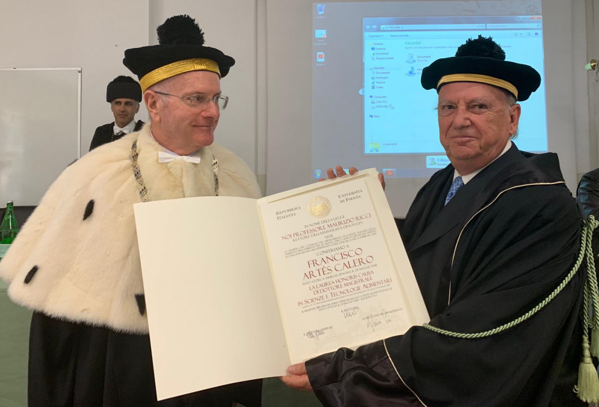 Investidura Honoris Causa Artes Calero Universidad Foggia 2019 (Foto UPCT)