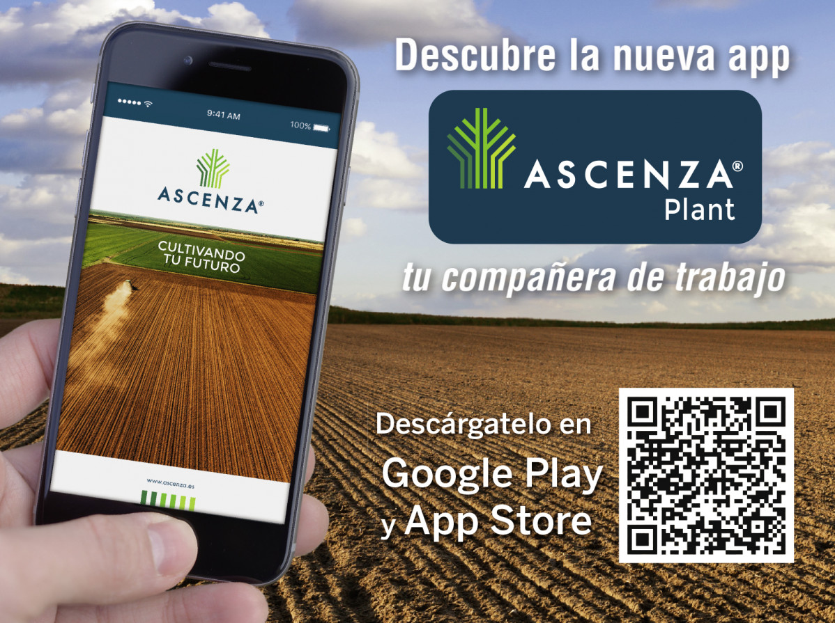 ASCENZA Plant