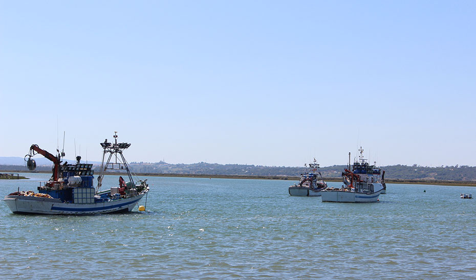 Barcos Pesca Embarcaciu00f3n Pesqueros (Foto Junta de Andalucu00eda)