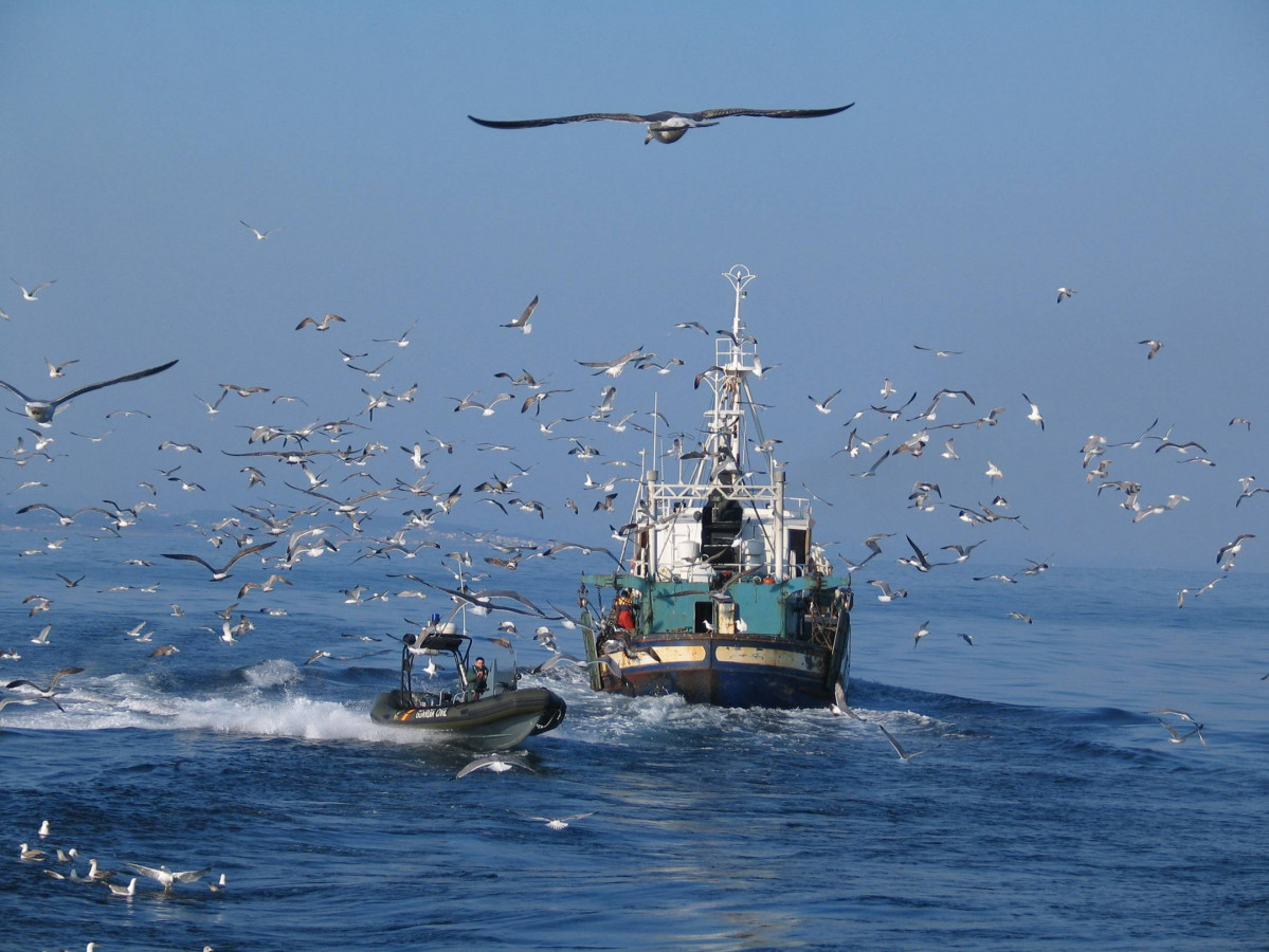 Pesca ilegal (Foto MAPA)