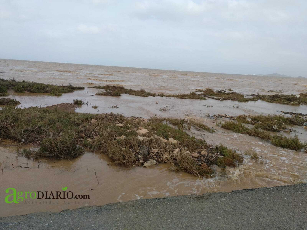 Marina de El Carmolí desaparecida tras la gota fría sept 2019 (Foto C.Guardia) (1)