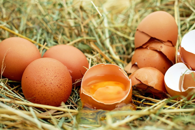 Huevos (foto agrodiario)