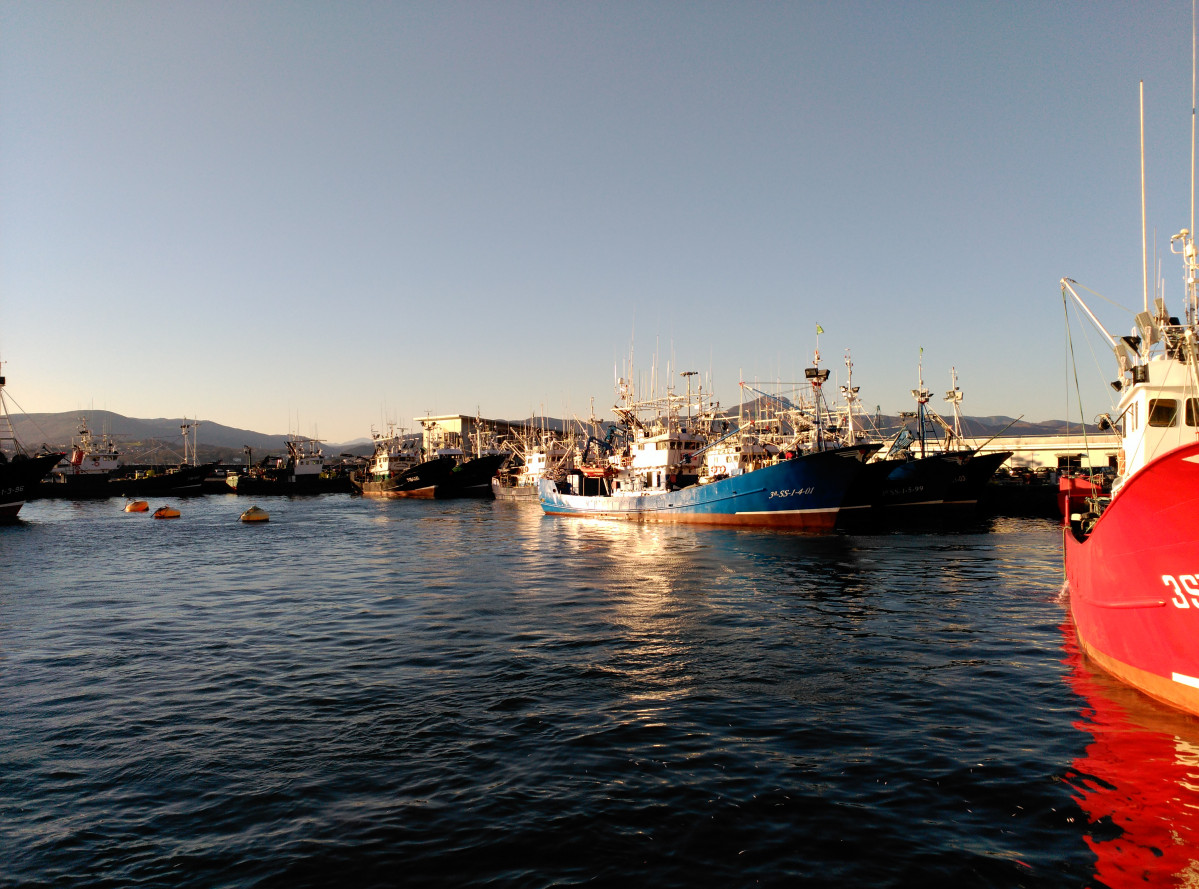 Buques de pesca en puerto (Foto MAPA)