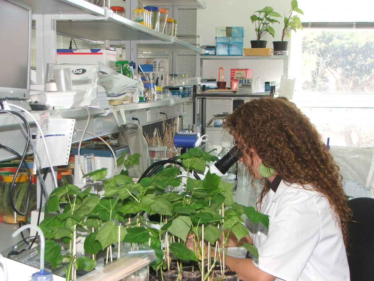 Agronomos, plantas amenazadas, laboratorio (Foto APCT)