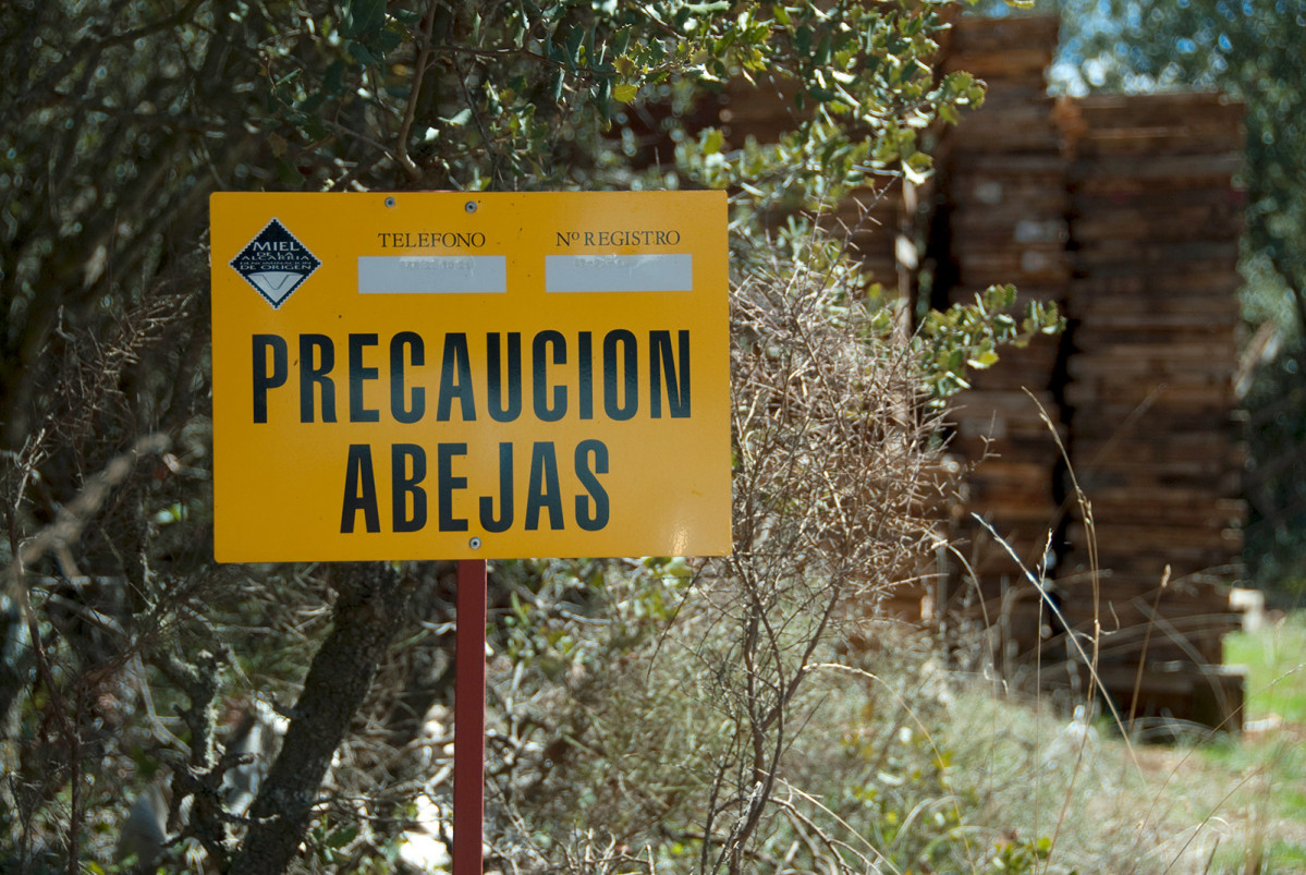Colmenas en La Alcarria Cartel (Foto UPA)