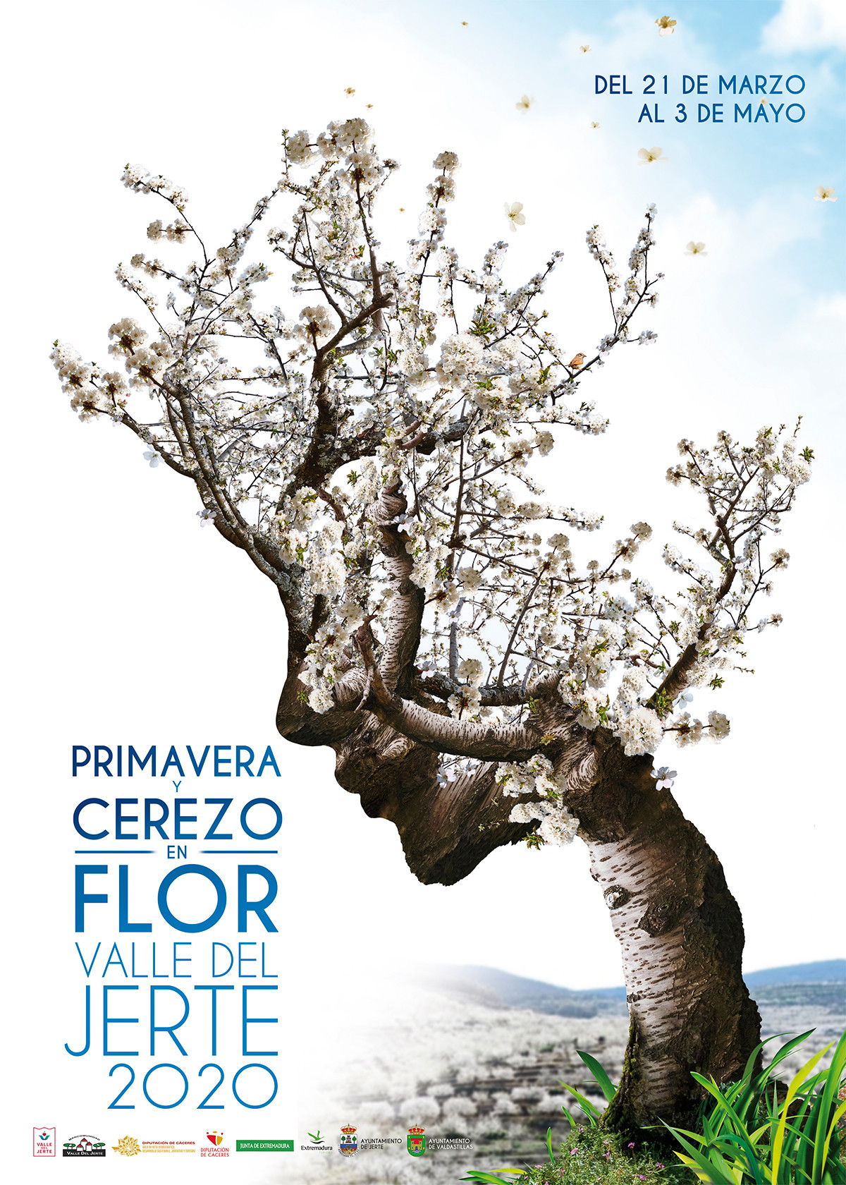 Cartel Cerezo en Flor 2020 (Imagen Mancomunidad Valle del Jerte)