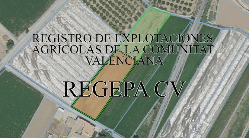 Regepa CV Explotaciones Registro (Foto Generalitat Valenciana)