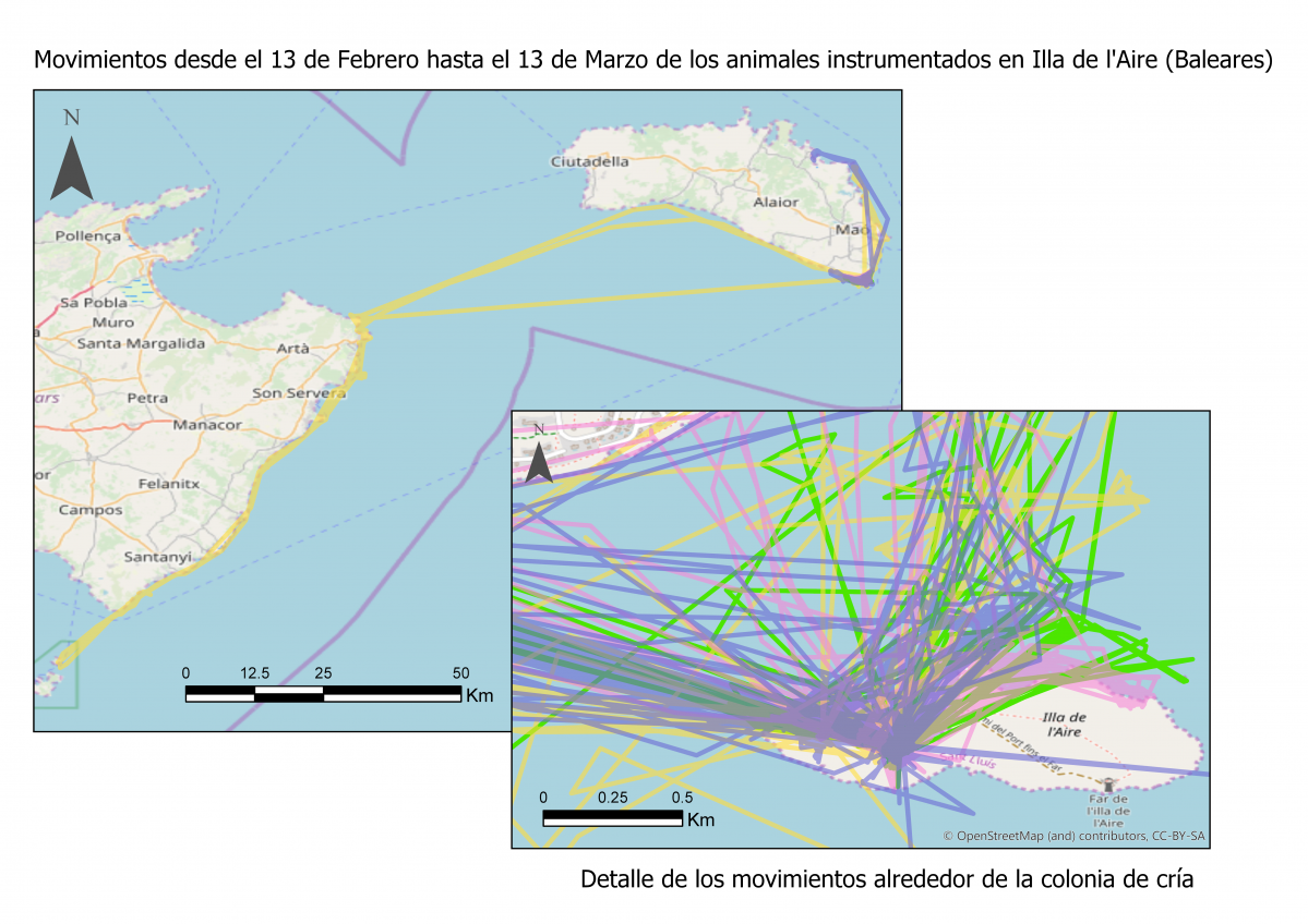 Mapa cormoranes Aire Marzo2020