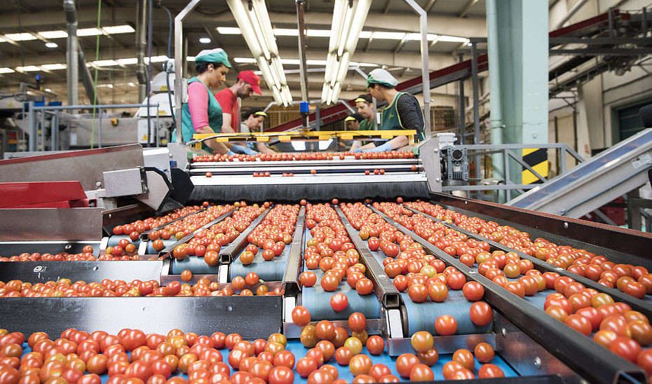 Trabajadoras almacén tomate empleo (Foto Junta de Andalucía)