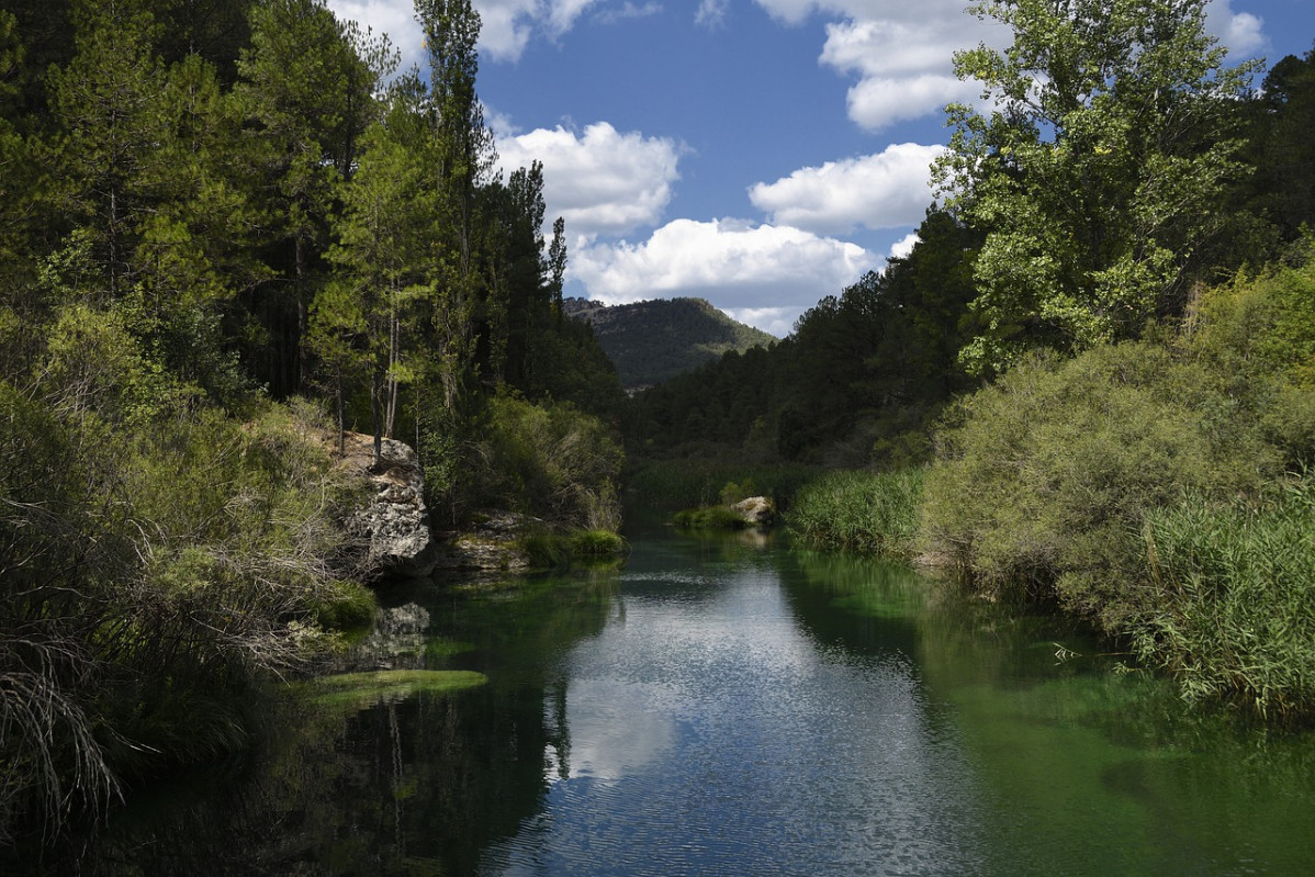 Río Tajo (Foto Miteco)
