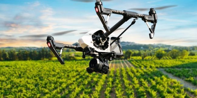 Dron campo cultivo shutter stock