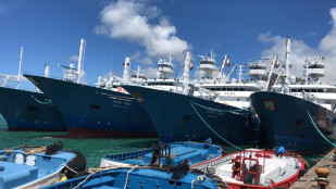 Relevo buques españoles pesca Índico 2 (Foto MAPA)