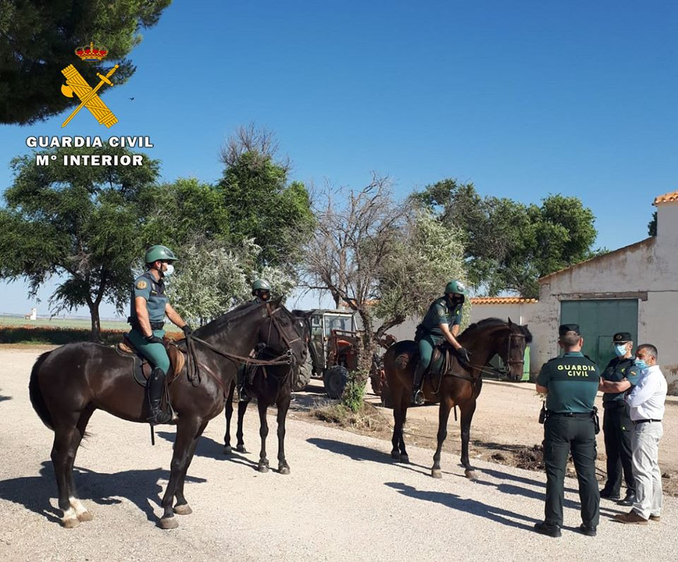 Escuadron Caballeru00eda vigilancia campo (Foto Guardia Civil Albacete)