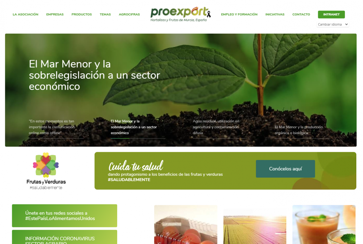 Proexport web