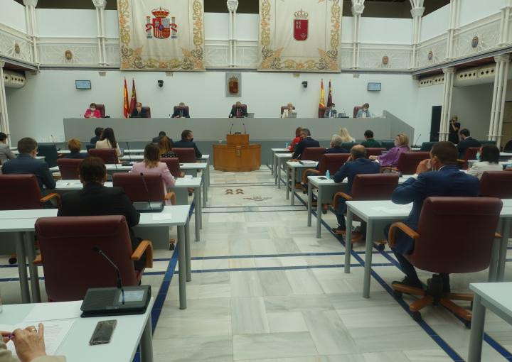 Pleno Ley Mar Menor (Foto Asamblea Regional)