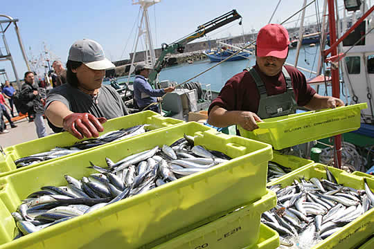 Pescadores pesca desembarco pescado capturas (Foto MAPA)