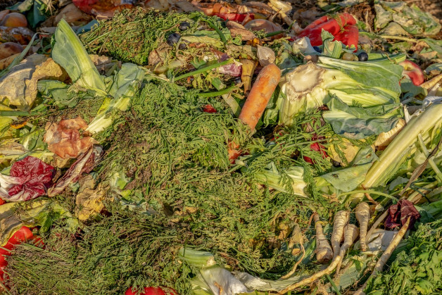 Compost desperdicio alimentario abono basura (Foto Pixabay Couleur)